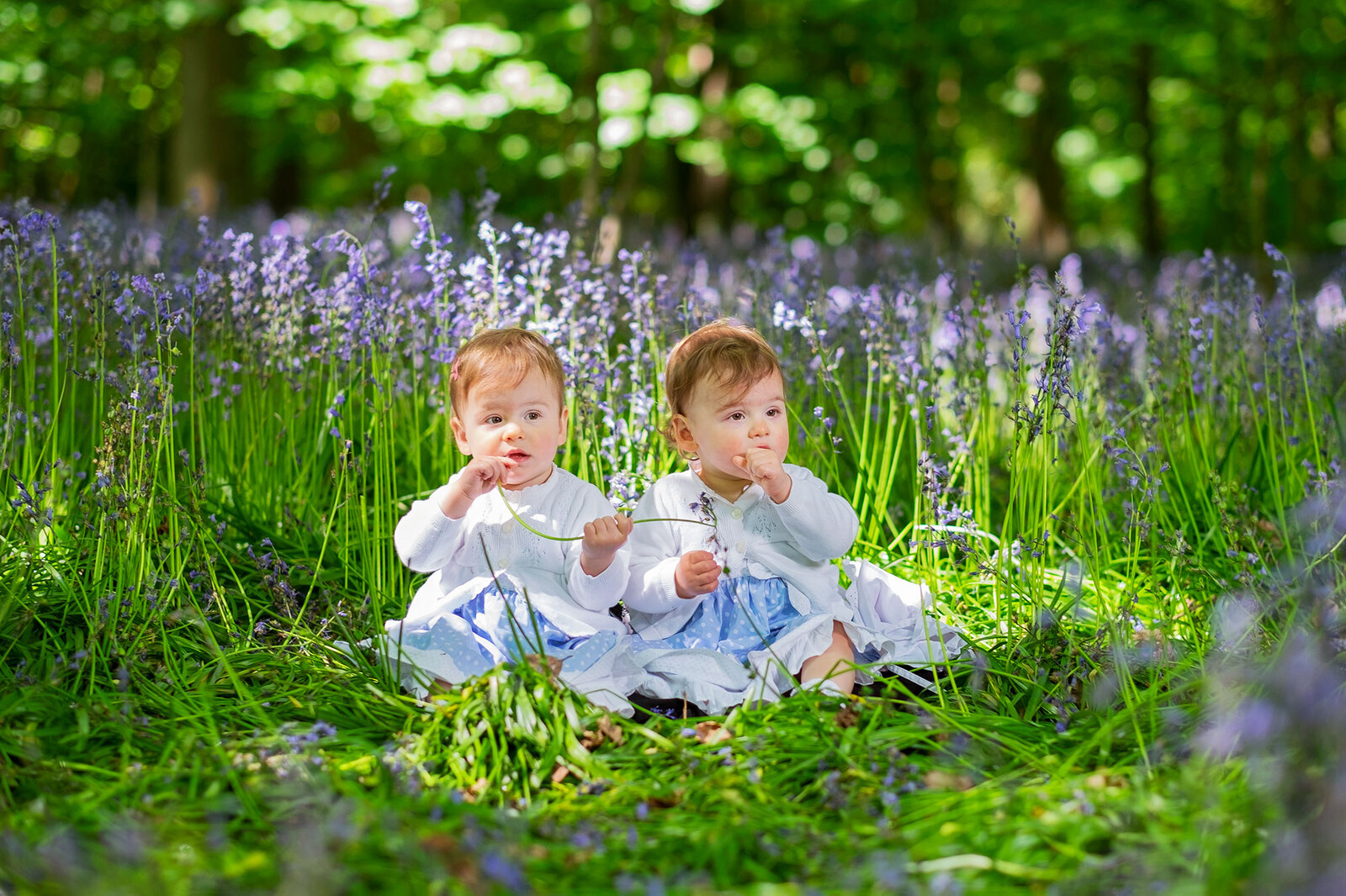 Spring mini session bluebells portraits Sussex