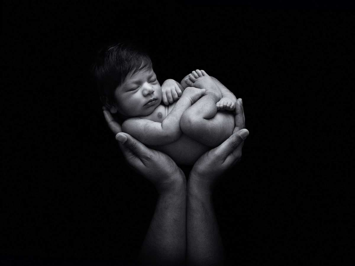 A classic and timeless portrait of a newborn baby being held gently in parent's hands. This image is shot in a fine-art black and white style, with gentle overhead lighting.