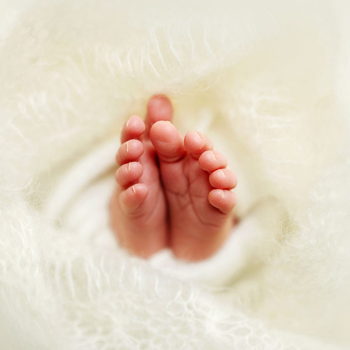 A close-up portrait of a newborn's feet and toes